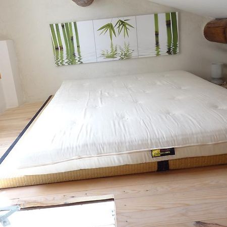 Appartement Avec Terrasse,Mezzanine,Patangarles Rum bild